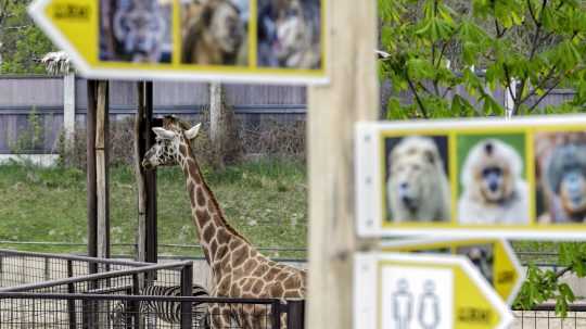 Bratislavská zoo sa teší z nového prírastku.