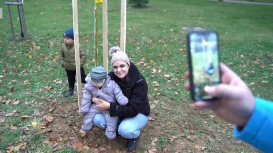 V meste na Považí zasadia strom, keď sa tam narodí bábätko: Dreviny tak rastú spolu s deťmi