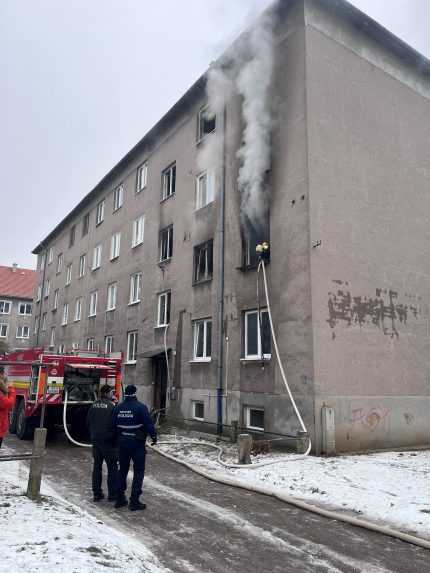 Hasi&Atilde;&Acirc;i zasahuj&Atilde;&Acirc;&ordm; v byte v Ro&Atilde;&Acirc;&frac34;&Atilde;&Acirc;ave.