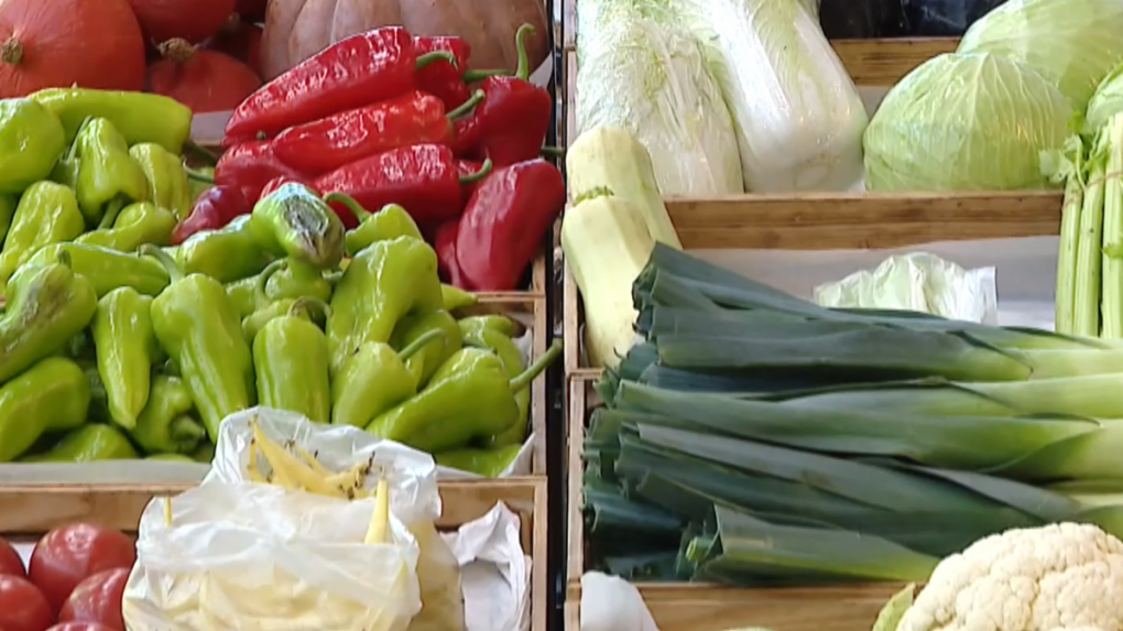 EÚ uvoľňuje pravidlá pre používanie GMO. Neexistuje vedecký konsenzus, že sú bezpečné, tvrdí občianska iniciatíva