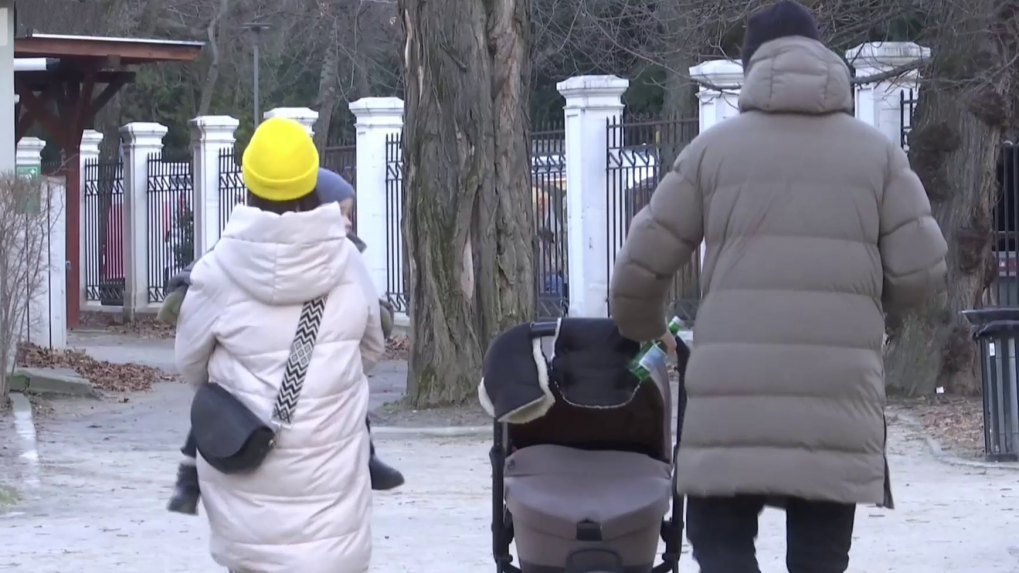 Podnikáte a chystáte sa na materskú? Živnostníčky by na ňu mali myslieť v predstihu