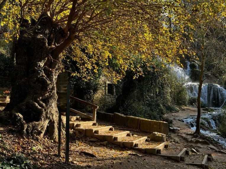 Moruša z Chorvátska sa môže pýšiť 13. priečkou.