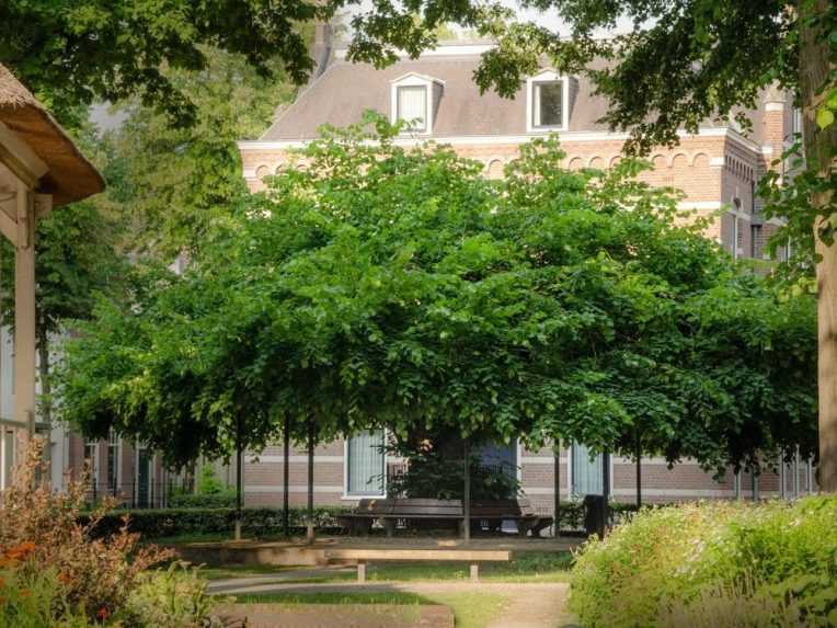 Siedme miesto patrí lipe z Holandska.