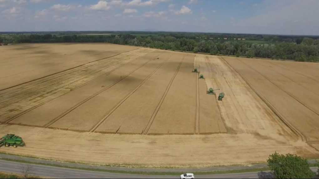 Bezúročná pôžička pre farmárov v núdzi: Má im pomôcť, kým nedostanú meškajúce platby