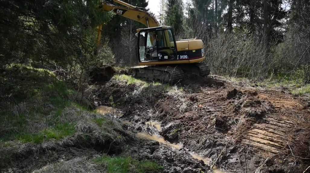 Zo vzácnych rašelinísk na Slovensku zmizol život. Botanici sa snažia o ich záchranu