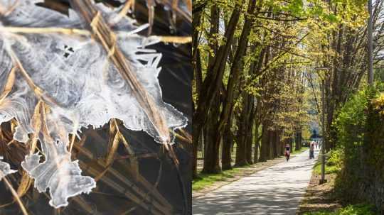 Mráz, zelený park.