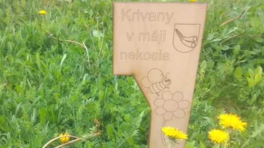 Krivany v máji nekosia