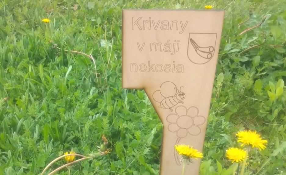 Krivany v máji nekosia