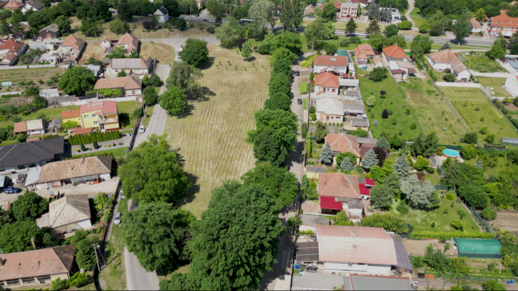 Hurbanovčania uprednostnili zeleň pred nakupovaním: Zachránili park, ktorý malo nahradiť nákupné centrum