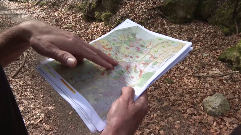 Mapa mapovaním lykožrútovej kalamity.