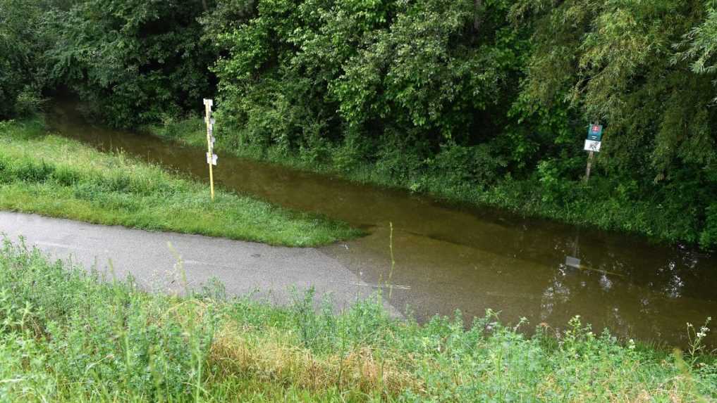 Zaliata cyklocesta pri hrade Devín.
