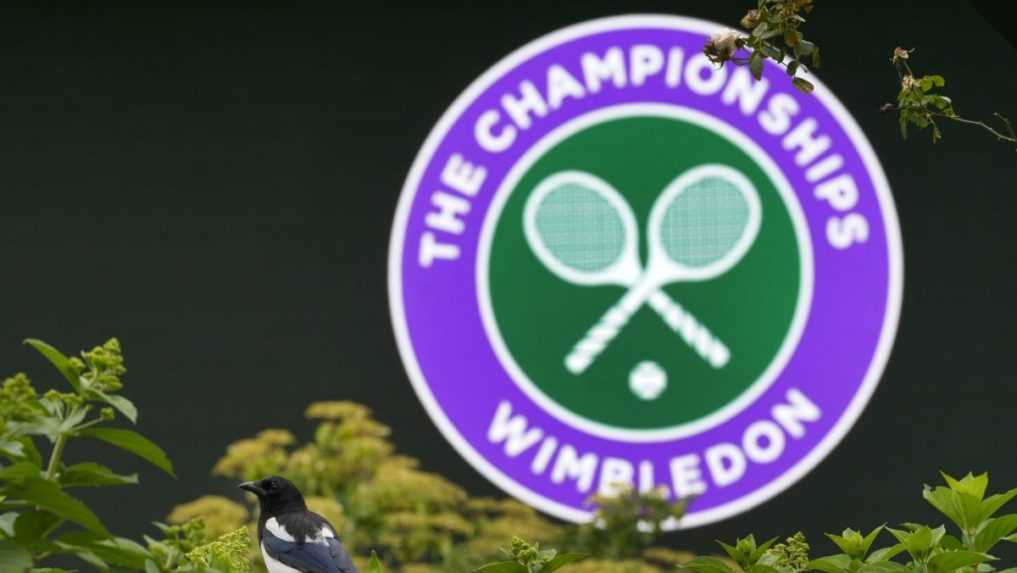 Wimbledon: Slovenky Schmiedlová a Šramková spoznali žreb prvého kola