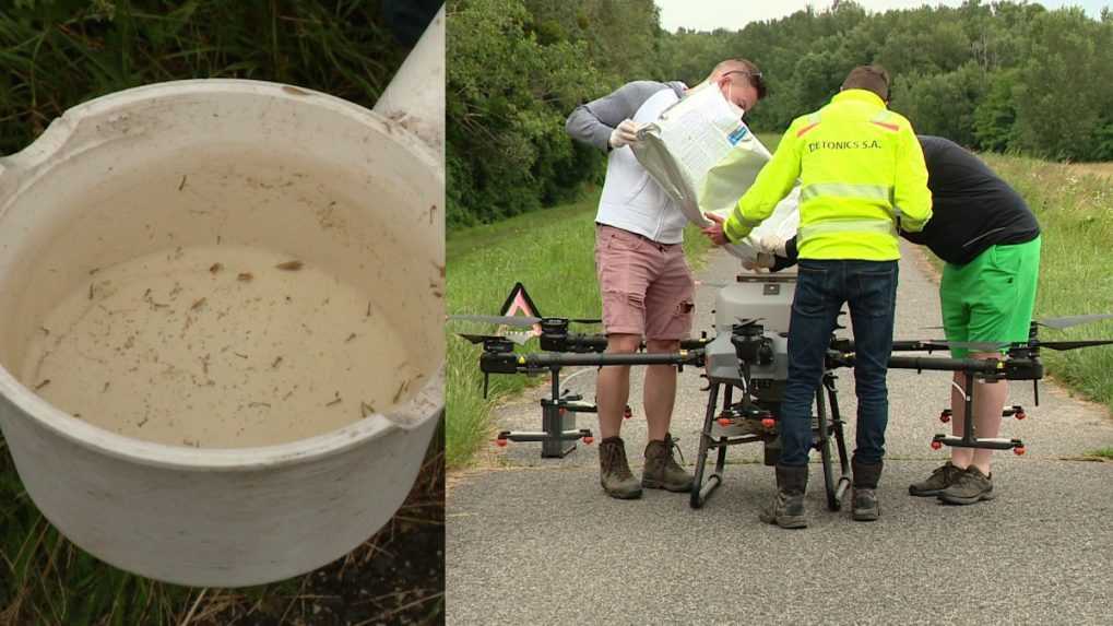 Začína sa boj s komármi: Hlavné mesto proti nim nasadilo aj špeciálny dron