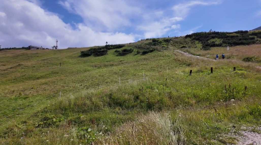 PS tvrdí, že envirorezort povolil pasenie dobytka v Malej Fatre v najvyššom stupni ochrany prírody