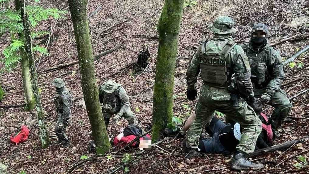 V lese na východe Slovenska zadržala polícia prevádzača nelegálnych migrantov