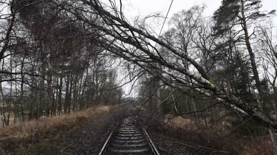 padnutý strom v koľajisku