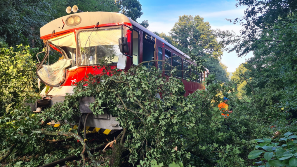 Počas silnej búrky pri Trnavej Hore spadol na vlak strom: Pri nehode sa zranil rušňovodič