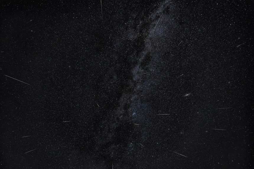 Ilustračn&aacute; sn&iacute;mka perze&iacute;d.