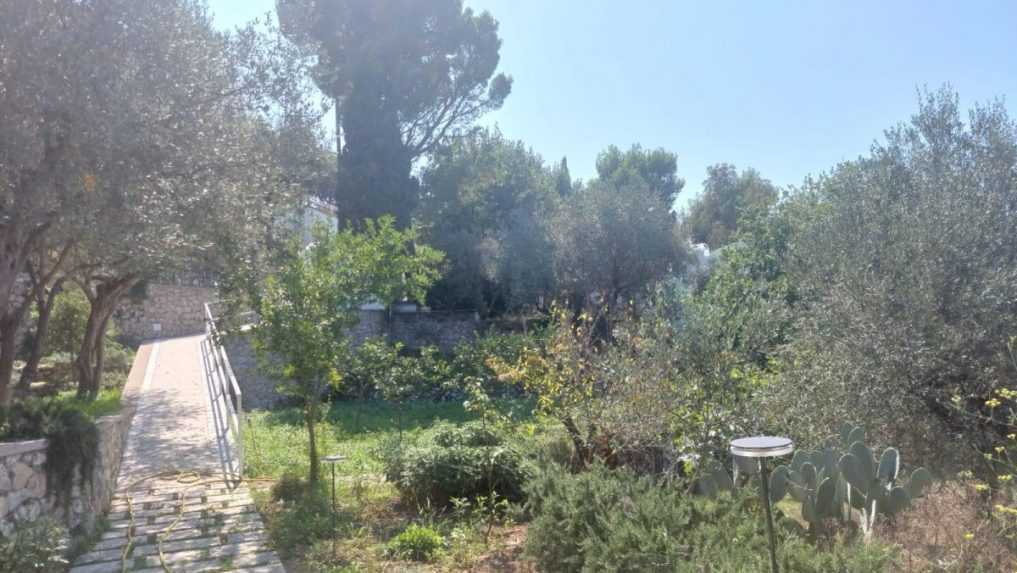 Alessandro m&aacute; aj 45 citr&oacute;novn&iacute;kov a ako jedin&yacute; na ostrove rob&iacute; zimn&yacute; zber citr&oacute;nov.