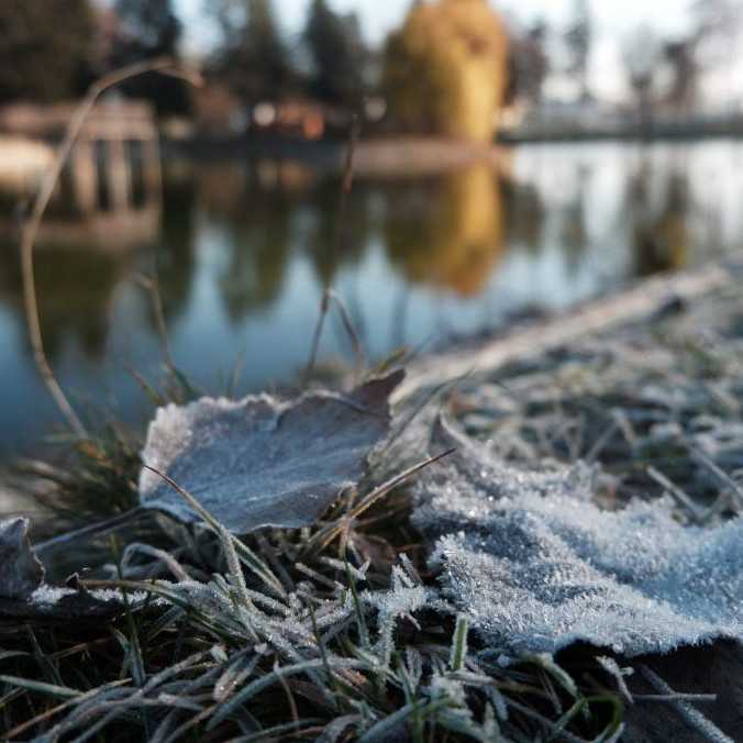 Na väčšine Slovenska treba počítať s prízemným mrazom, výstrahy platia pre viaceré okresy