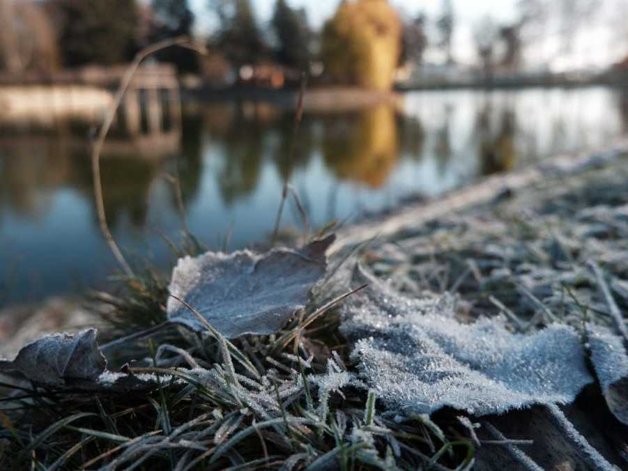 Na väčšine Slovenska treba počítať s prízemným mrazom, výstrahy platia pre viaceré okresy