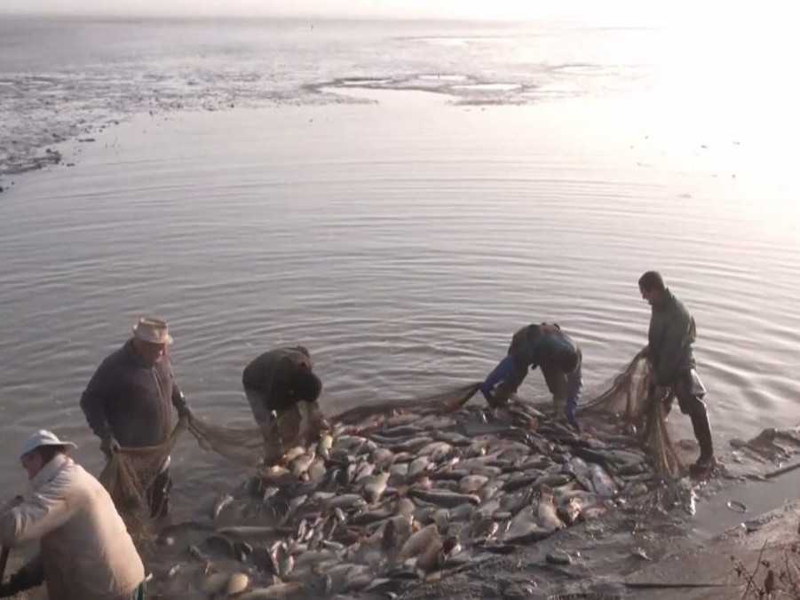 Muži so sieťou plnou rýb.