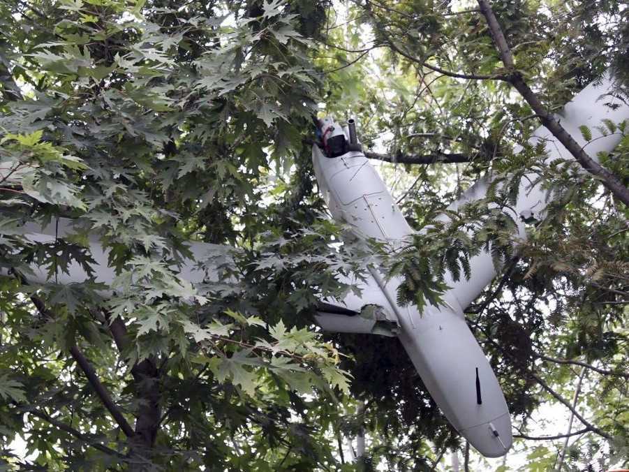 dron v korune stromov