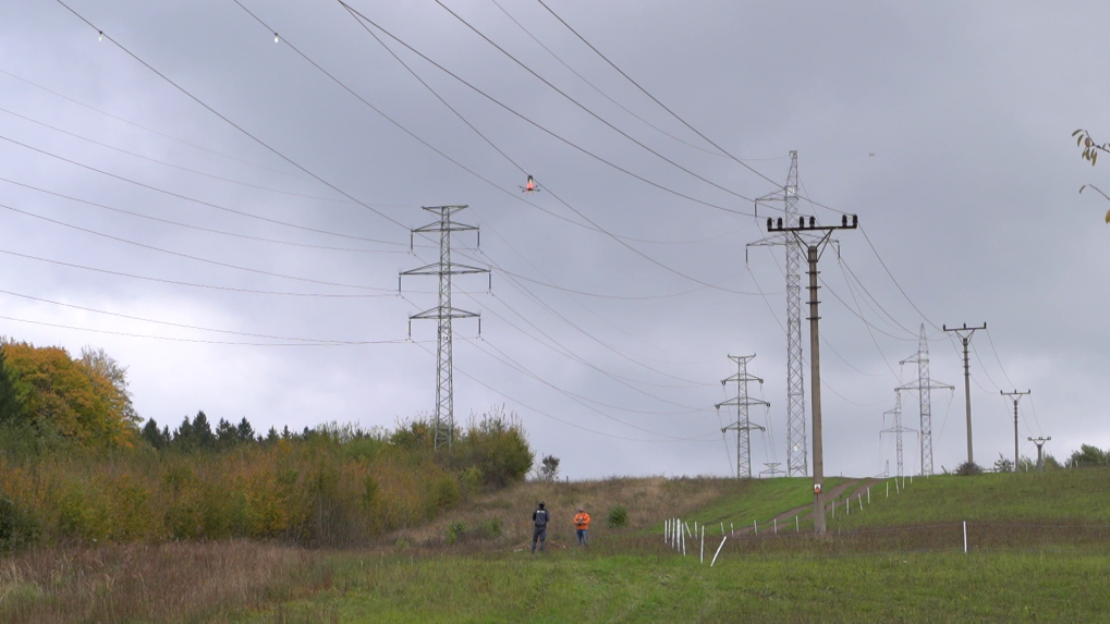 Ochránia vtáky a prispejú k rozvoju regiónu: Na Považí vymenia storočné elektrické vedenie