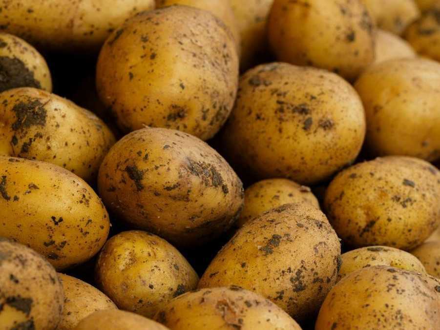 Ilustračná snímka zemiakov.