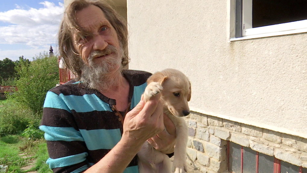 Majiteľ psov drž&iacute; v ruk&aacute;ch &scaron;teňa.