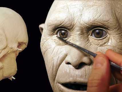 Homo floresiensis model