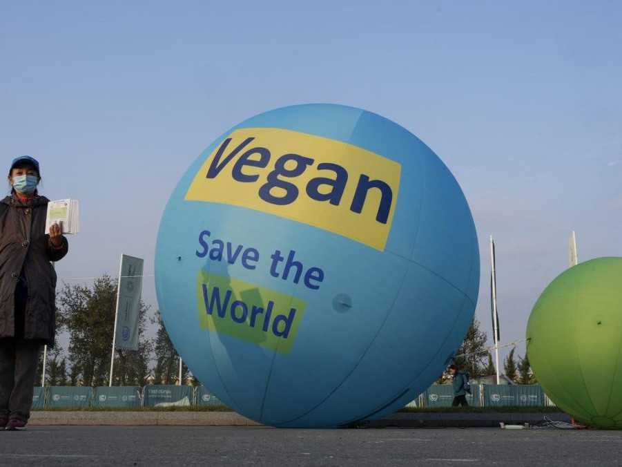 Žena pózuje pri balóne v dejisku Klimatickej konferencie OSN COP 29.