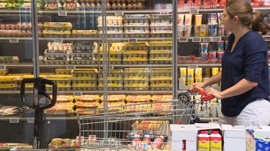 V obchodoch chýbajú slovenské vajcia. Výpadok od najväčšieho dodávateľa prišiel zo dňa na deň