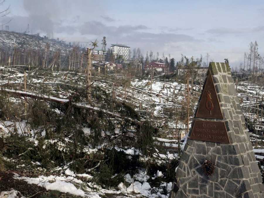 Na snímke škody po kalamite v Tatrách v roku 2004.