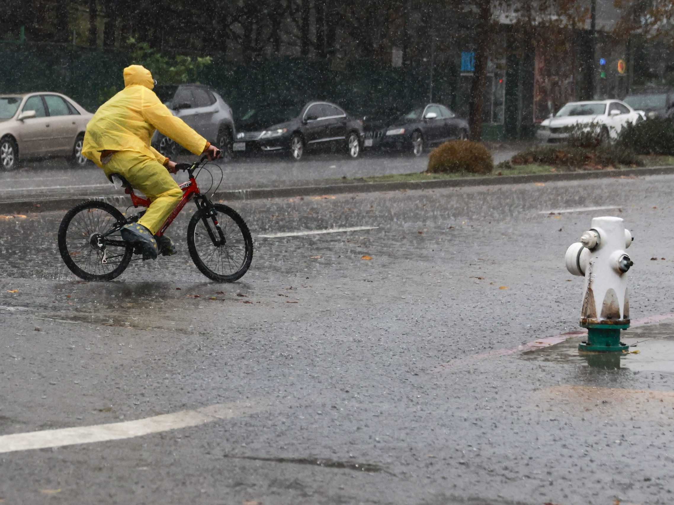 Tlaková níž Bert priniesla silný vietor, dážď, ale aj sneženie.
