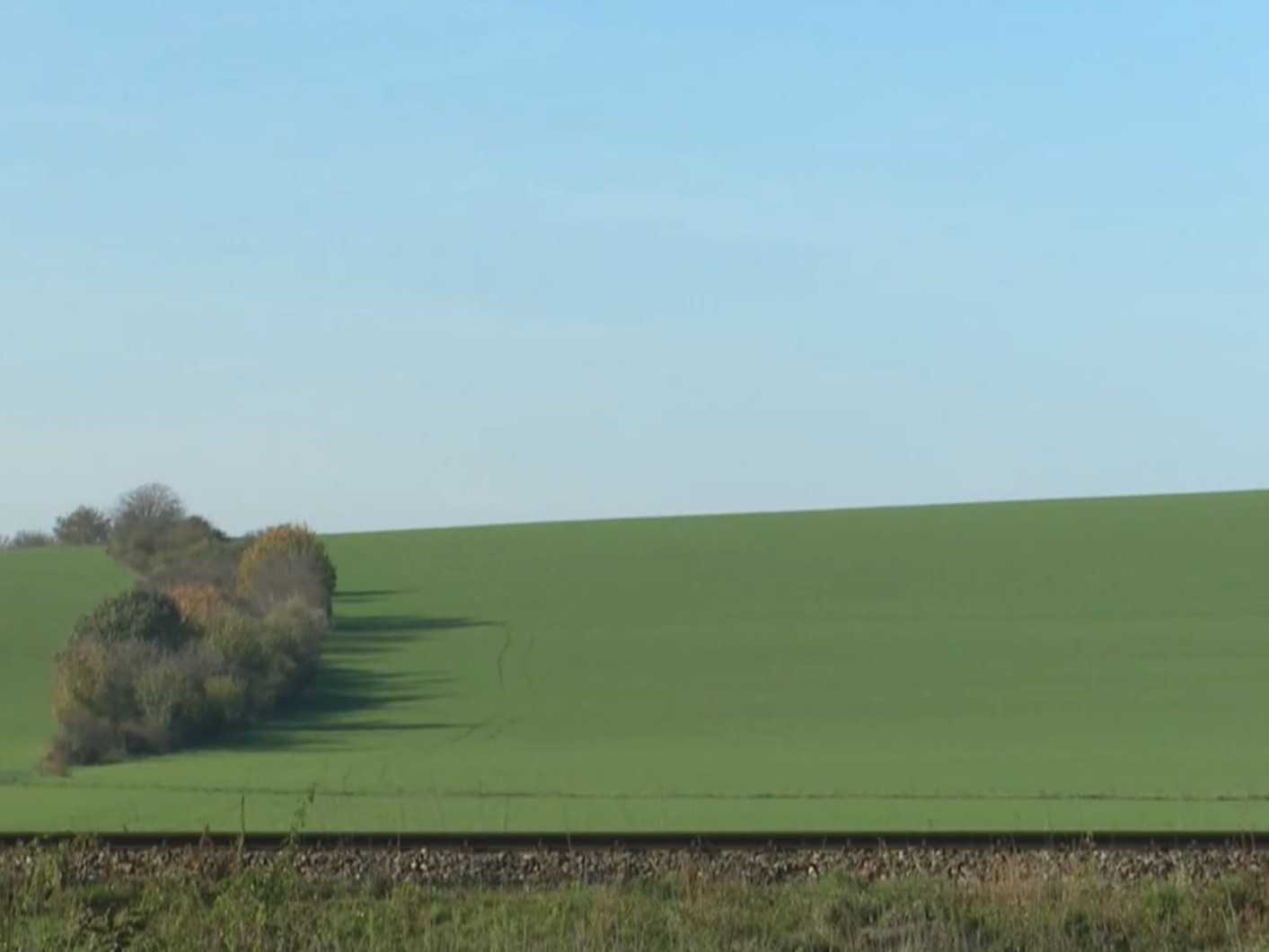 S výstavbou veterného parku nesúhlasia ochranári.