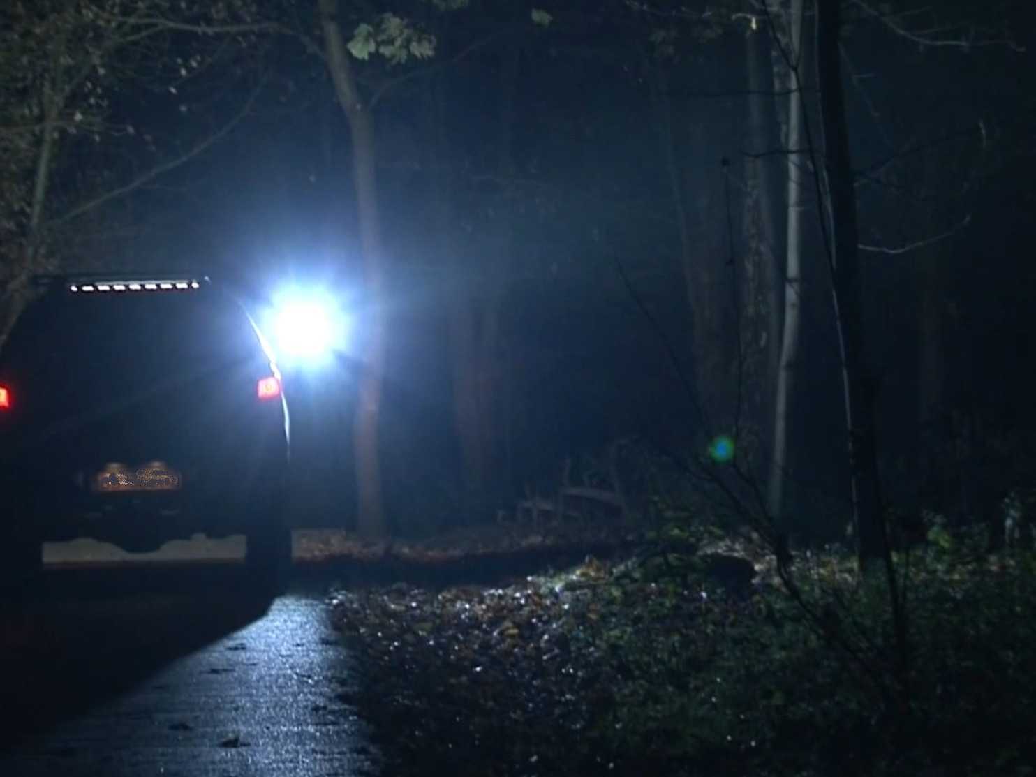 Podľa ochranárov sa však medveď do Tepličky vo štvrtok v noci nevrátil.