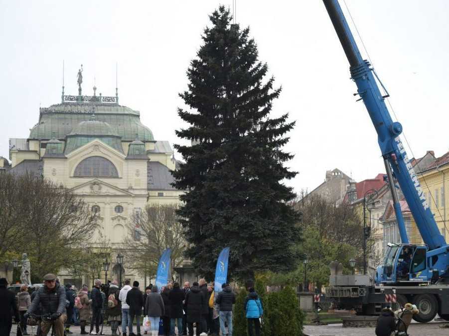 Osadenie vianočného stromčeka v Košiciach.