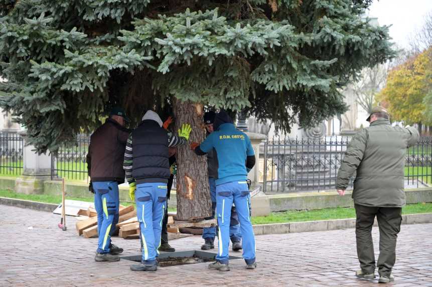 Metropolu východu už zdobí vianočný stromček, návštevníkov prekvapí novou svetelnou výzdobou