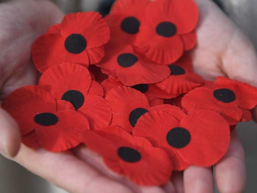 Červené maky, ktoré sú medzinárodným symbolom vojnových veteránov.