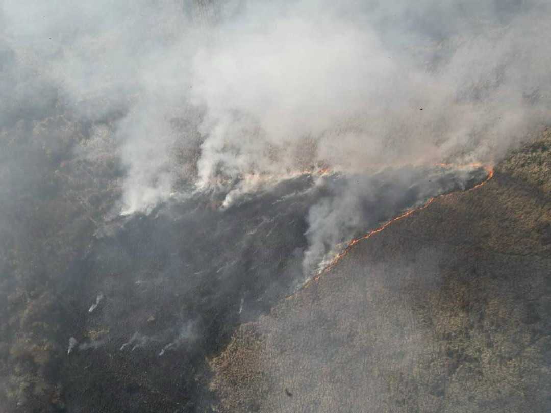 Požiar lesa pri obci Kuchyňa.