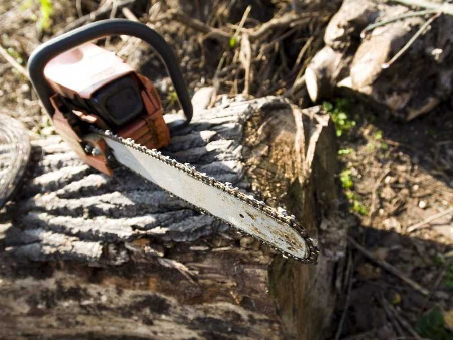 Ilustračná snímka - motorová píla.