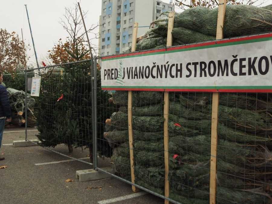 Predaj vianočných stromčekov