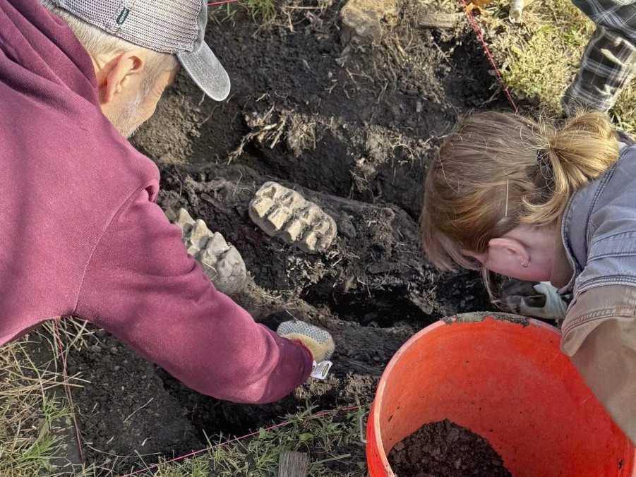 Spočiatku si myslel, že našiel bejzbalové loptičky. Muž pri práci na záhrade narazil na kosti z mastodonta