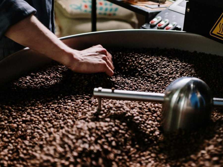 Osoba na snímke sa dotýka kávových zŕn.