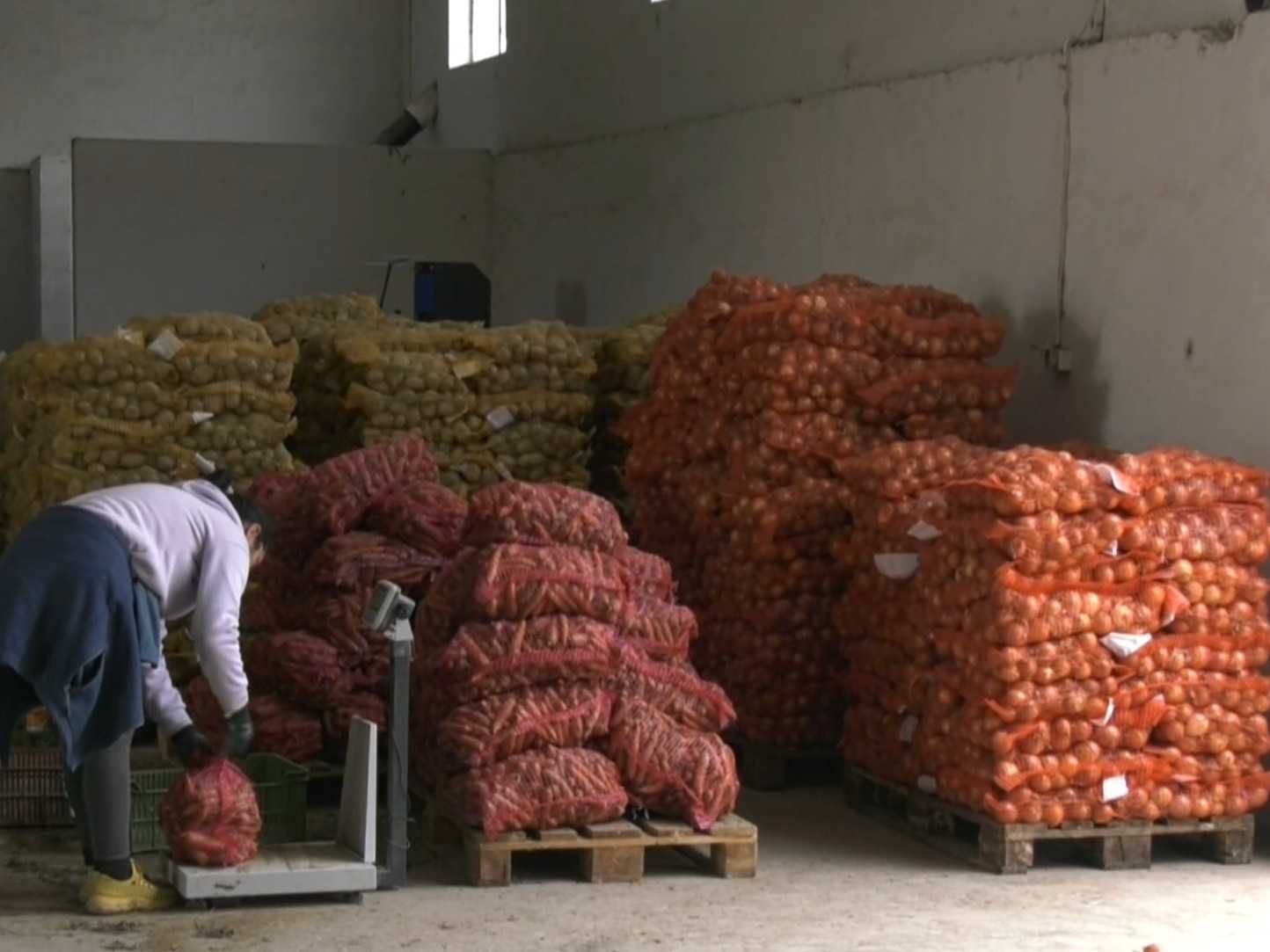 Spotreba mrkvy či cibule rastie, zberové plochy s ňou nestačia držať krok a sebestačnosť klesá.