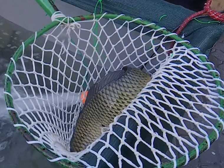 Na ilustračnej snímke kapor.