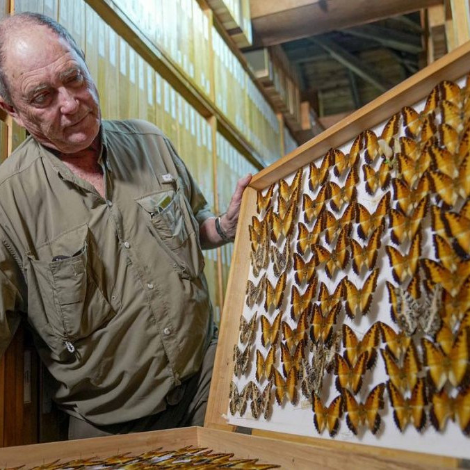 VIDEO: Hobby prerástlo do jednej z najväčších zbierok motýľov v Afrike. Muž vlastní vyše štyri milióny exemplárov
