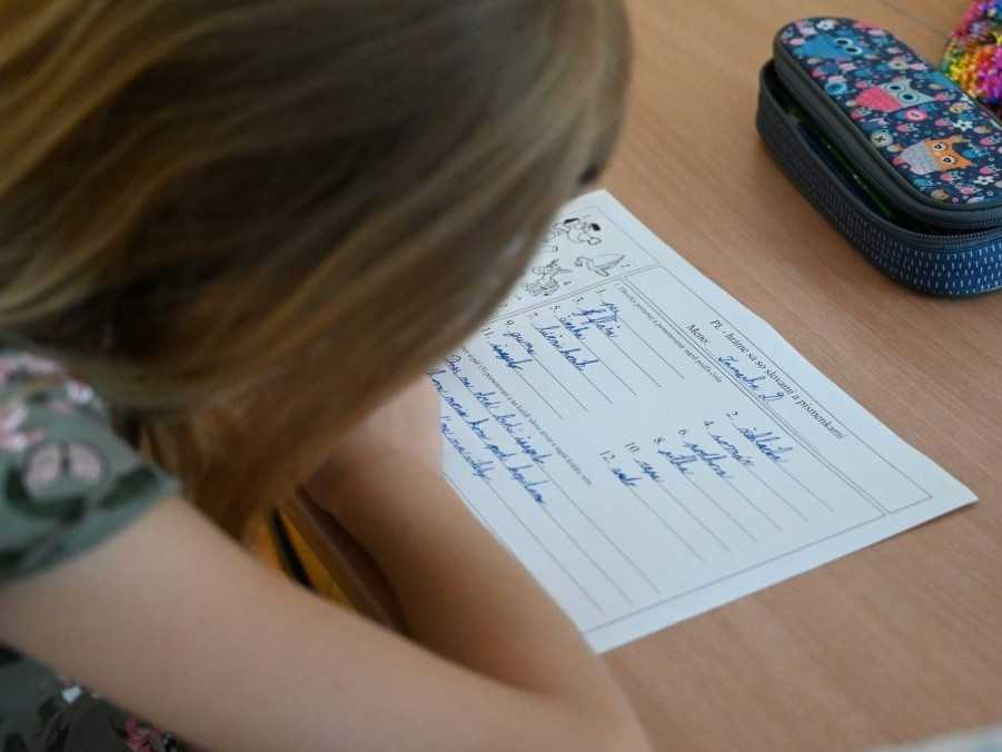 Ilustračná snímka žiačky základnej školy.