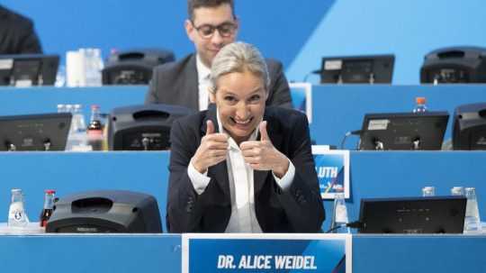 Na snímke členka strany AfD Alice Weidelová.